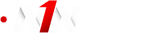 N1N